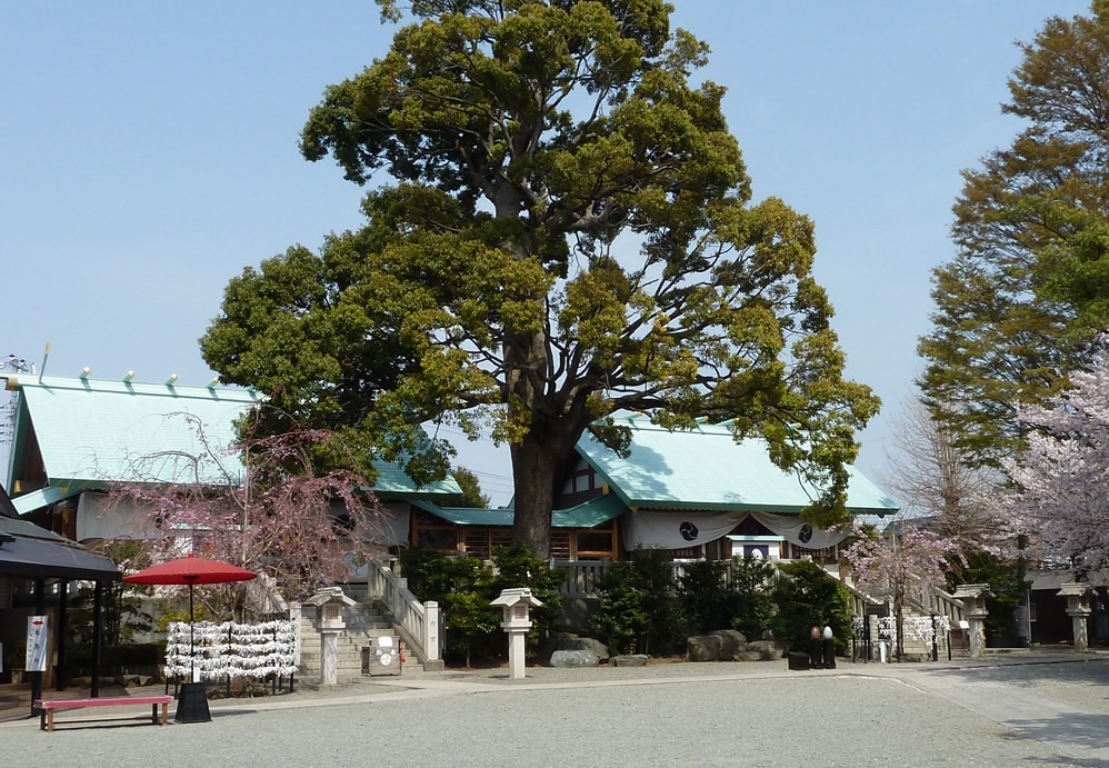 7月13日（土）神社婚活⛩️縁結び