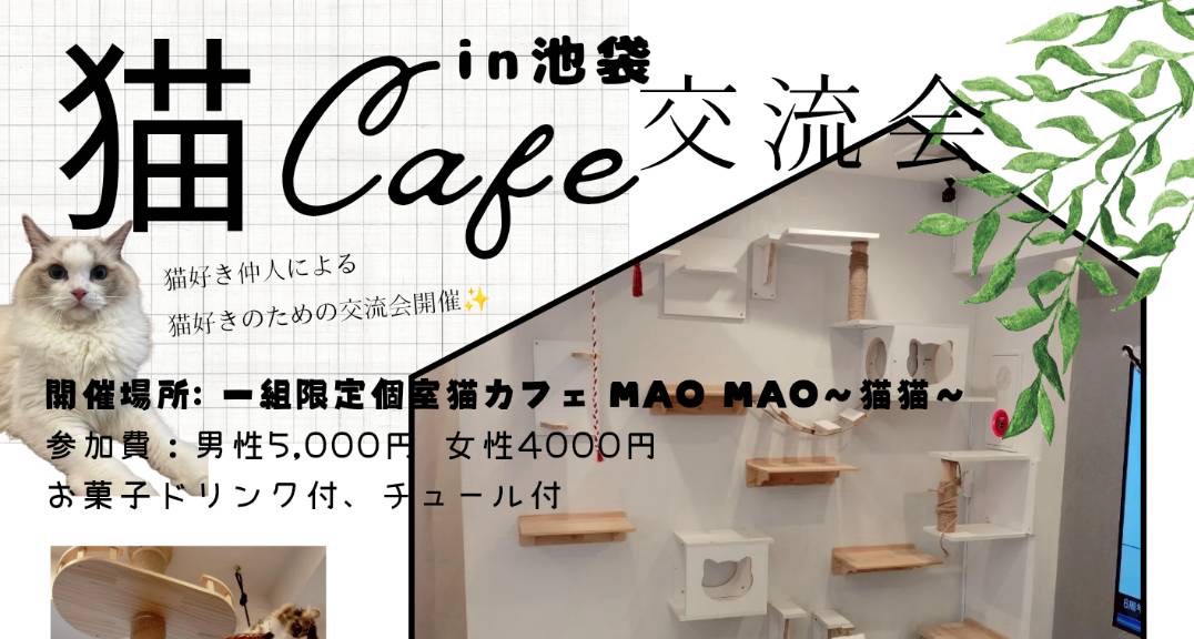 11月2日(日)猫カフェin池袋婚活交流会