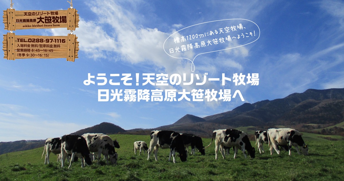 11月29日(土)ドラ婚 Go日光 第16弾